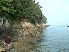 송도 갯바위와 맑은 바다 사진