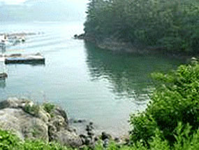 송도마을 앞 맑은 해안 사진