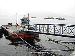 어의도 선착장 사진