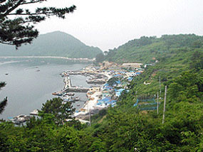 어의도 마을 전경 사진