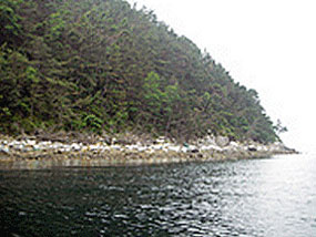 어의도 풍경 사진