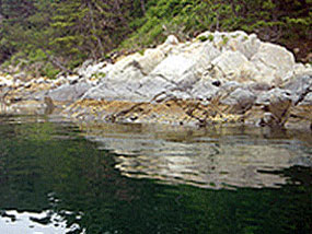 어의도 뒤편 갯바위 사진