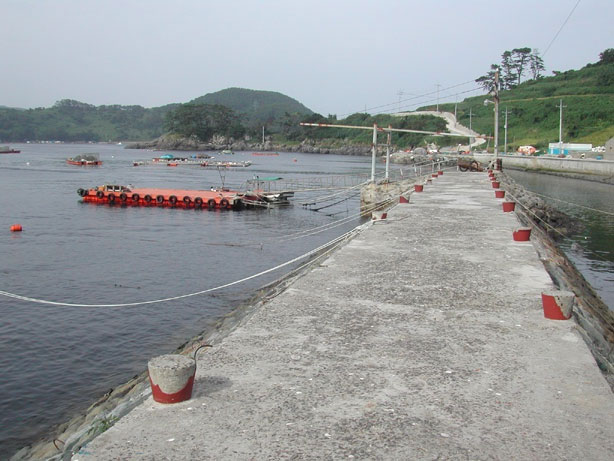 연대도 선착장 사진