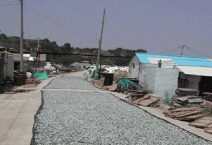 동부마을에 건조 중인 멸치 사진