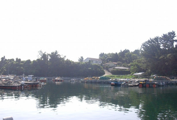 입도마을 전경 사진