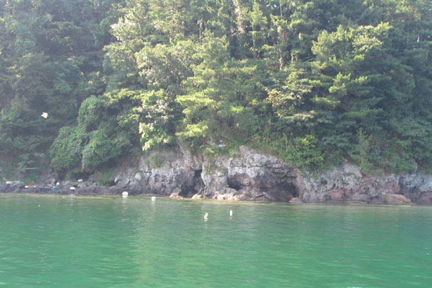 저도 풍경 사진