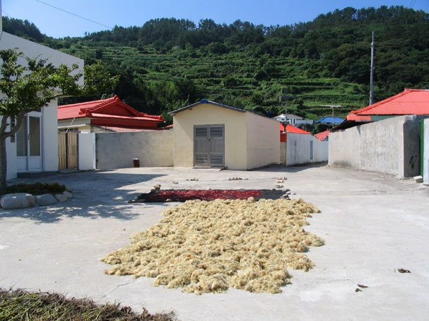 죽도 마을의 평온한 전경 사진