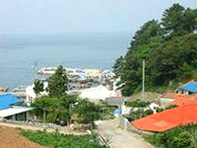 추도마을 전경 사진