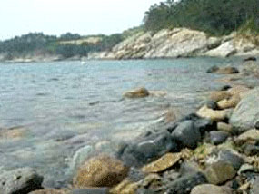 너무 맑은 추도의 바다 사진