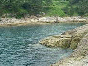 추도 갯바위 낚시 포인터 사진