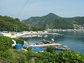 하노대 마을 전경 사진