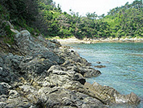 하노대도 갯바위 사진