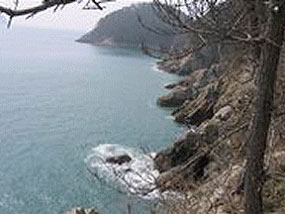 학림도 뒤편 절경 사진