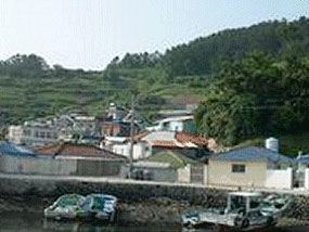 학림도 선착장 마을 전경 사진
