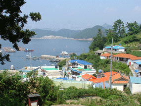 200여 년 된 포구나무 아래에서 바라본 곤리도마을 전경 사진