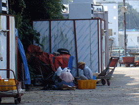 홍합을 손질하는 지역민들 사진