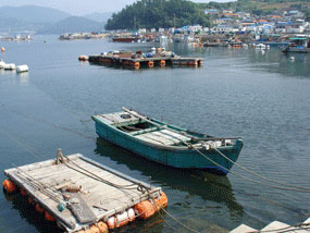 조용한 곤리마을 우측 전경 사진
