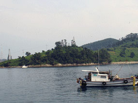 저도 마을 우측으로 바로 건너 보이는 학림도(새섬) 사진