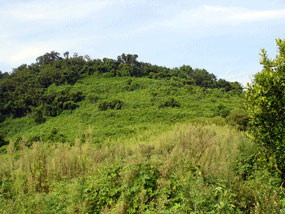 저도 최고봉우리 사진