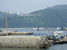저도선착장에서 멀리 보이는 수산과학관 사진