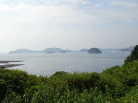 마을과 마을언덕 뒤편으로 올라가 바라본 전망 사진