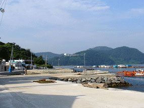 비교적 잘 닦여진 마을 앞 도로 사진