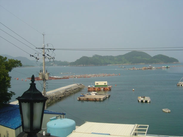 민박집에서 본 만지도 사진