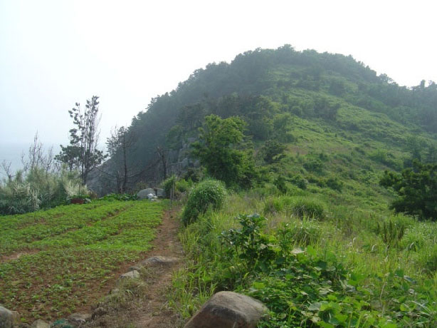 아름다운 만지도 절경