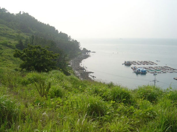 아름다운 만지도 절경