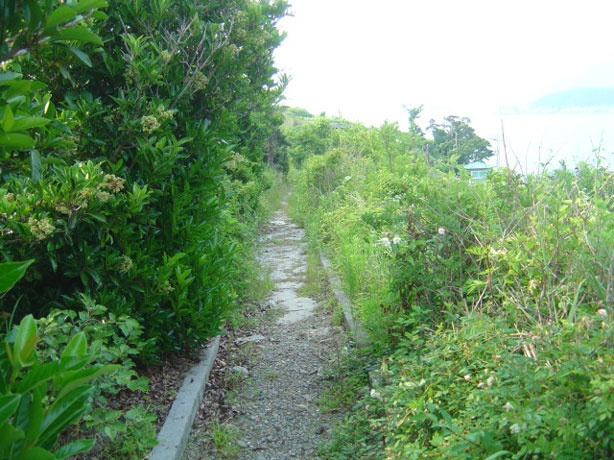 만지도 폐교가는 길 사진