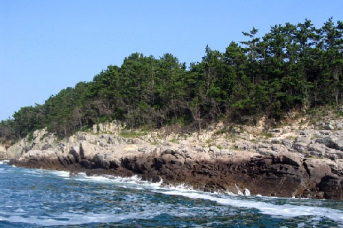 시원하게 펼쳐진 납도의 모습 사진