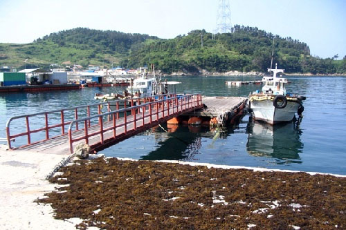 상노대도 선착장 전경 사진