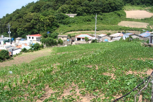 조개패총 자리 터 사진