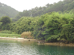 바닷가 전경 사진