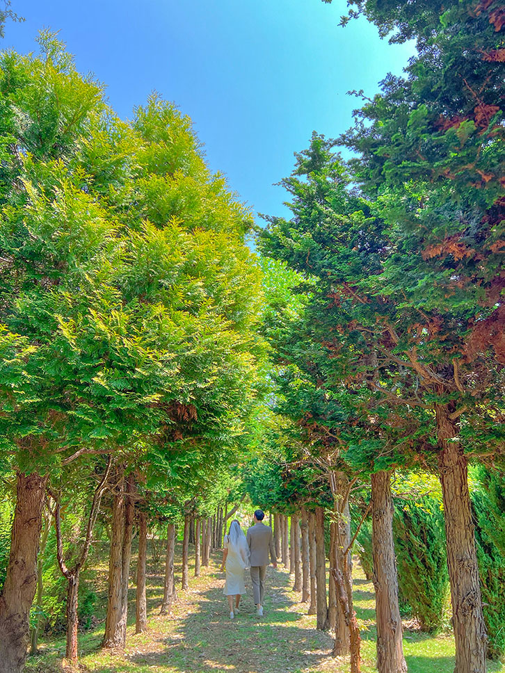 山油谷树木公园