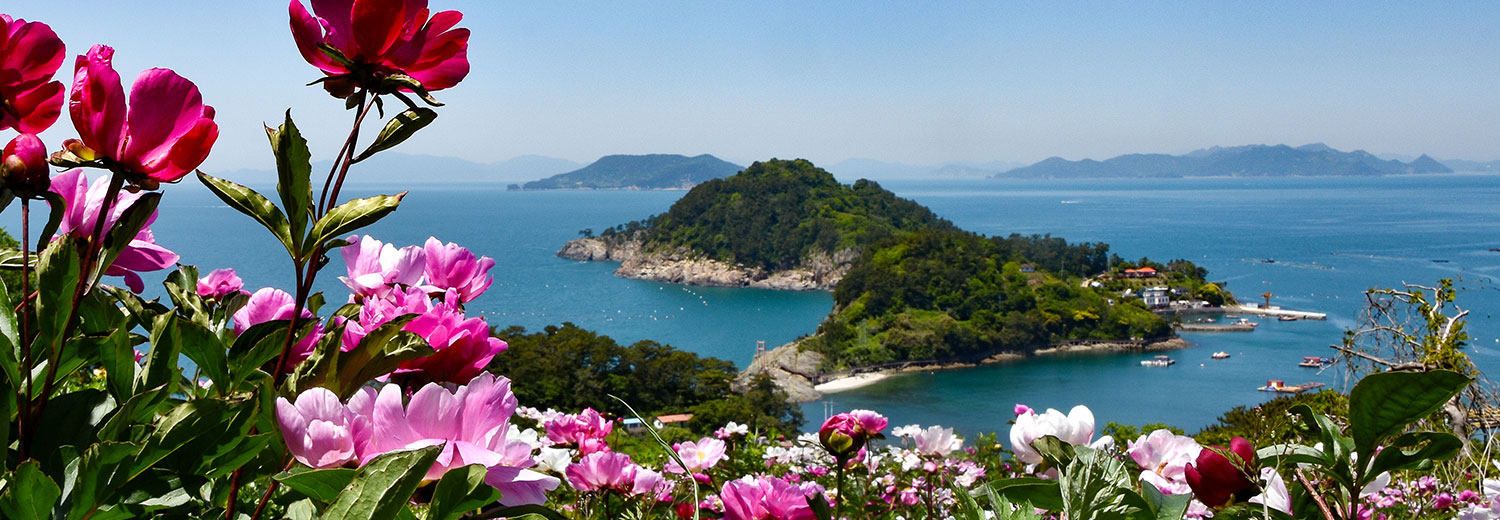 烟台岛~晚地岛步道桥(索桥)