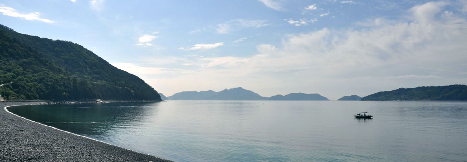 秋蜂岛蜂岩卵石海水浴场