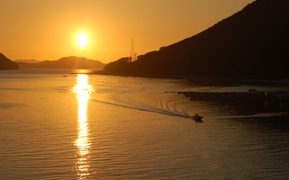 秋蜂岛蜂岩卵石海水浴场3
