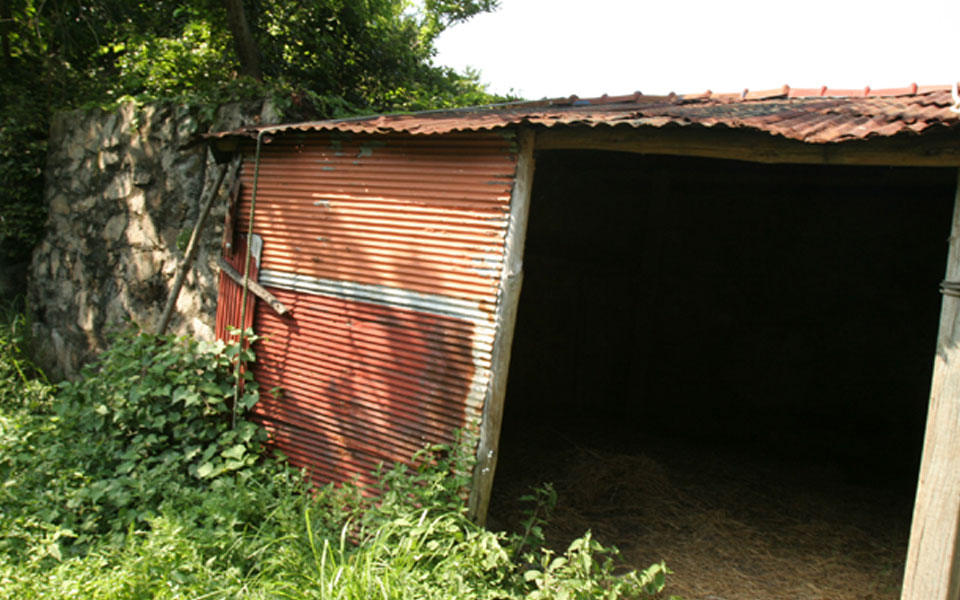 秋蜂岛和龙虎岛俘虏收容所5