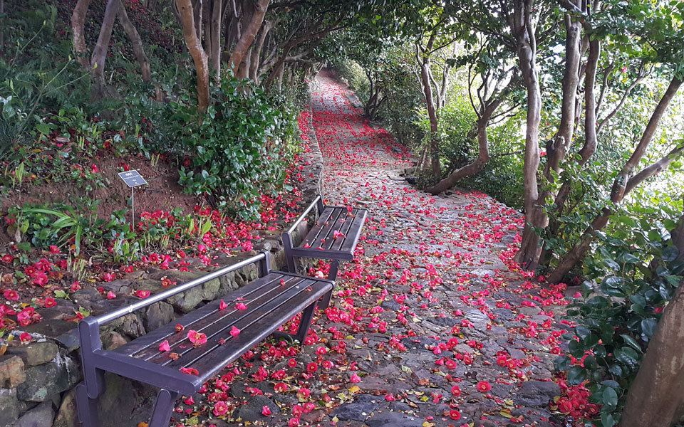 长蛇岛海上公园3