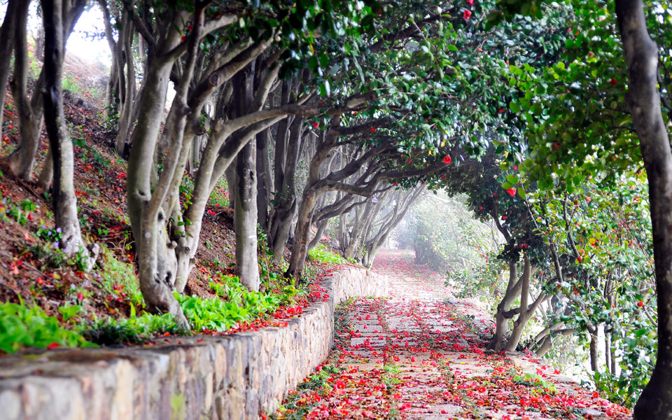 长蛇岛海上公园4