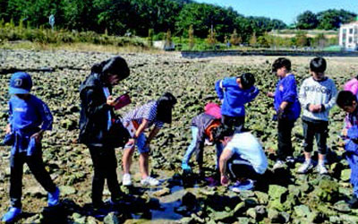 统营RCE Sejahtera林教育游3