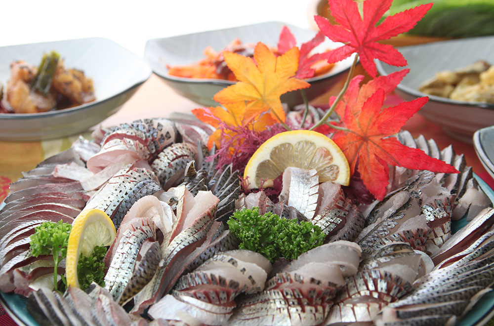 斑鰶生鱼片  <秋>