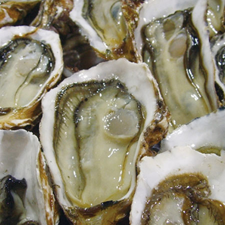 牡蛎