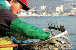 갈쿠리 정리중인 김점석 씨