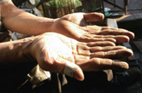 이평갑 어르신의 손(바닥)